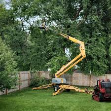 Artificial Turf Installation in Abernathy, TX